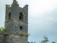 Cong Abbey